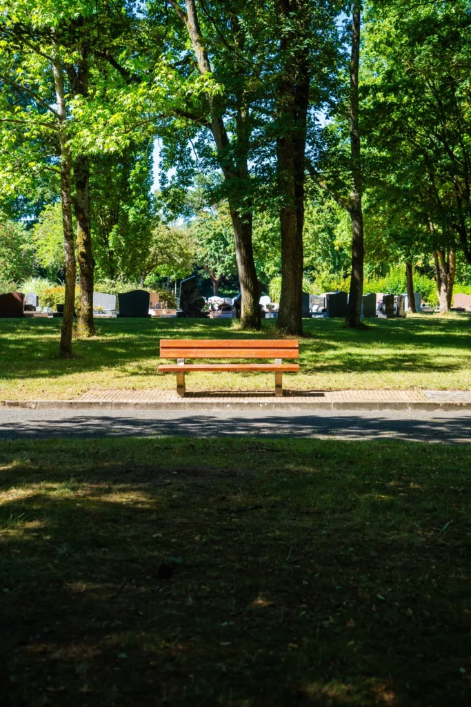 Banc en bois dans une allée ombragée de cimetière paysager.