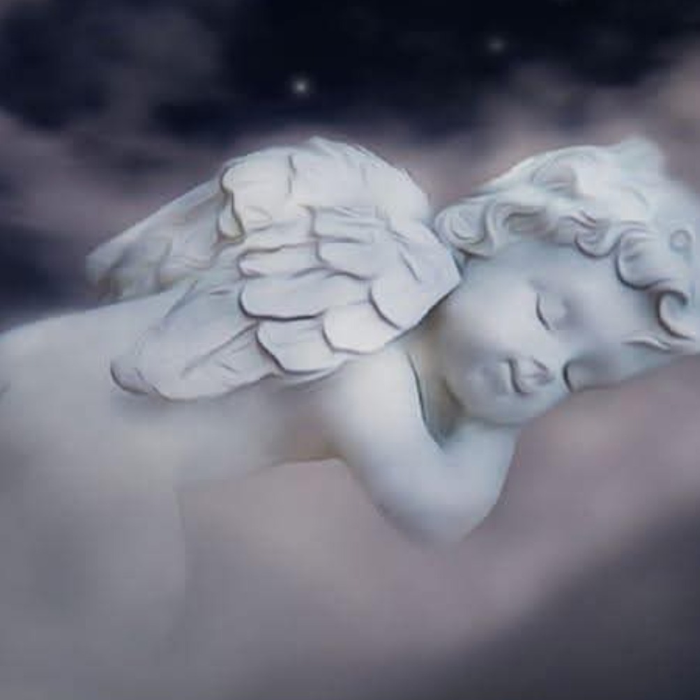 Photo de Sophie AMIRAULT