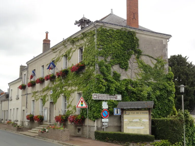 Sorigny (37250)