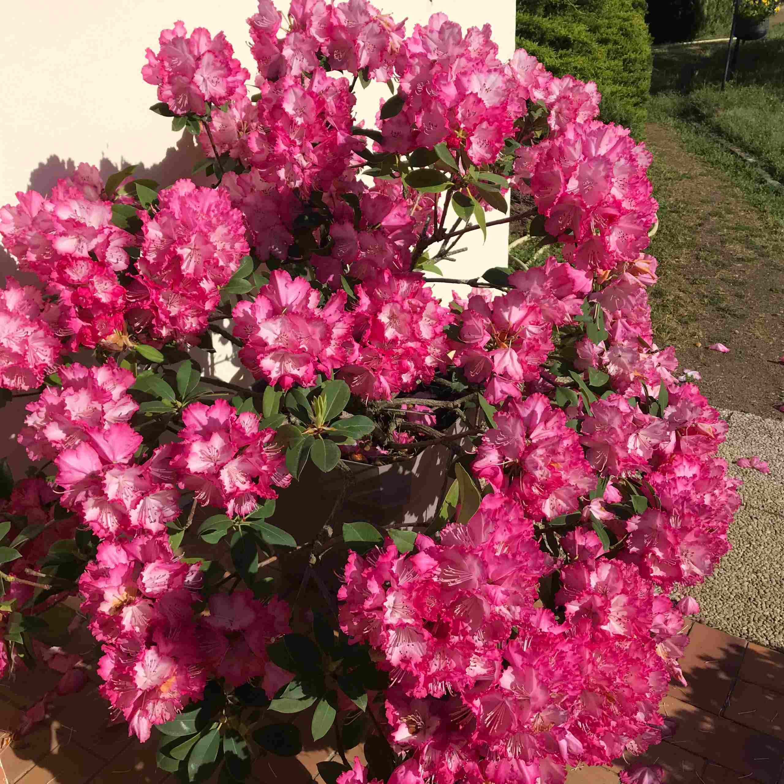 Photo de Pierrette VERGNE