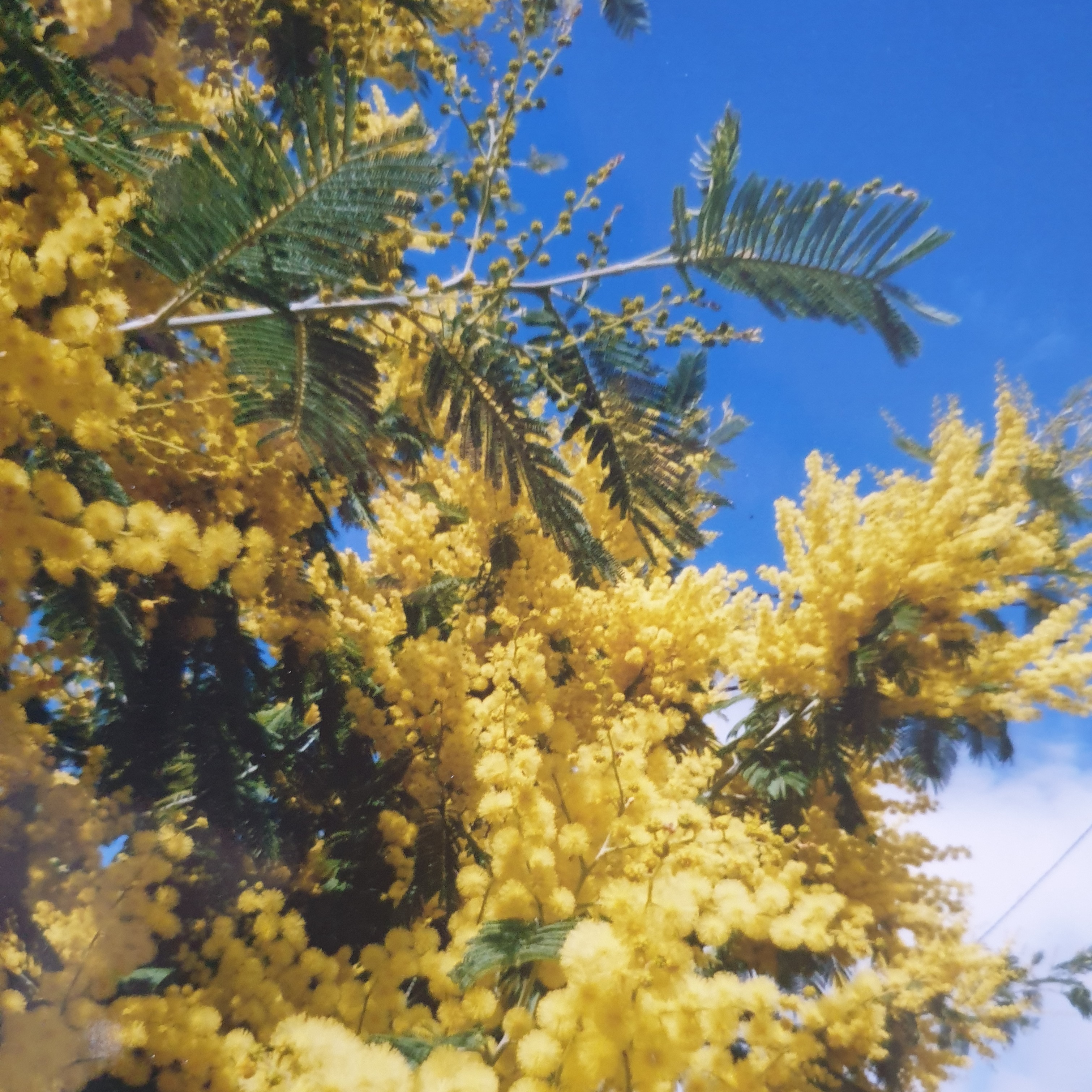 Photo de Denise GOUDINEAU