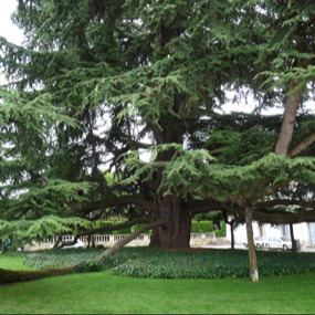 Photo de Jean-Claude MAILLARD